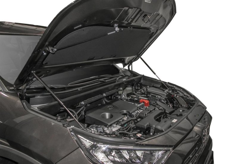 Амортизаторы капота toyota rav4 2019