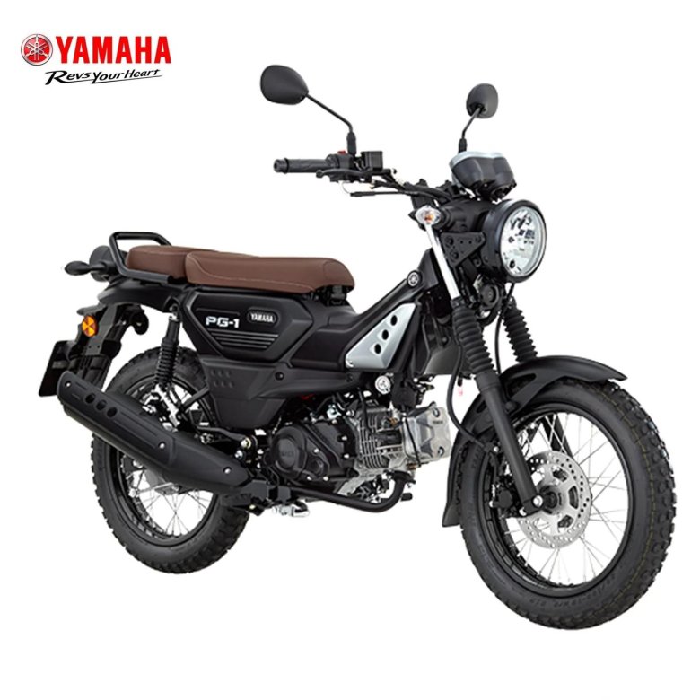 Yamaha pg 1