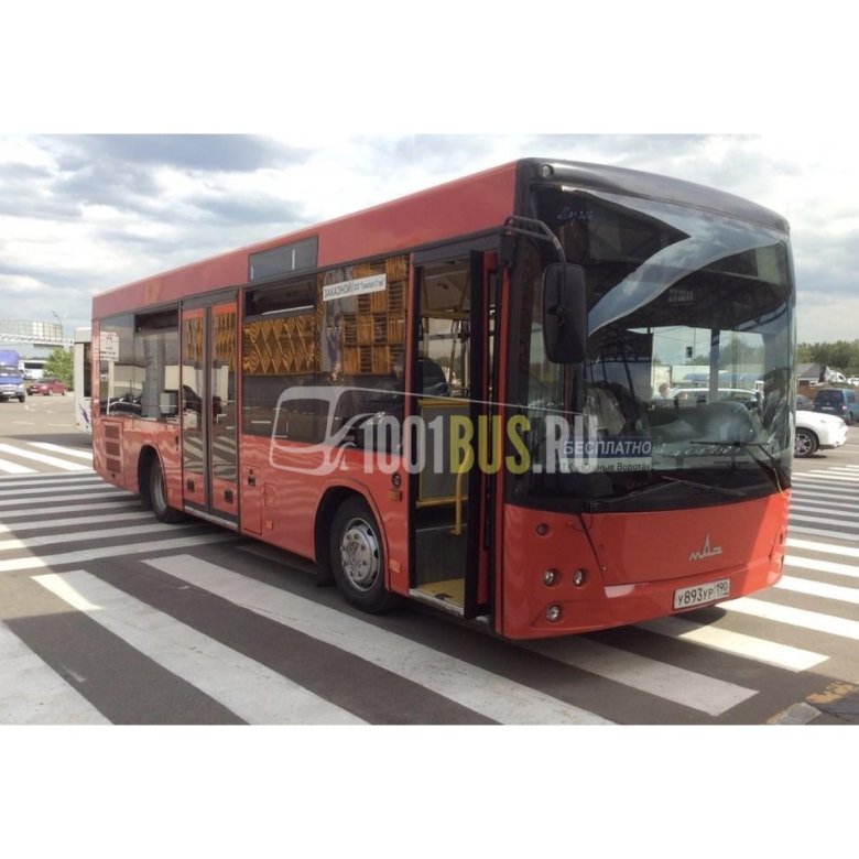 Новые автобусы маз