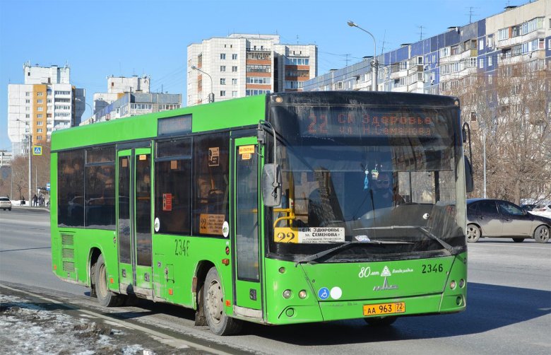 Тюменская область маз 206