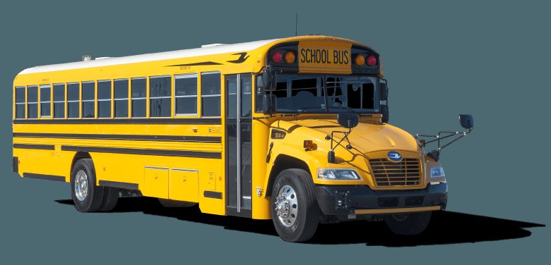 Школьные автобусы