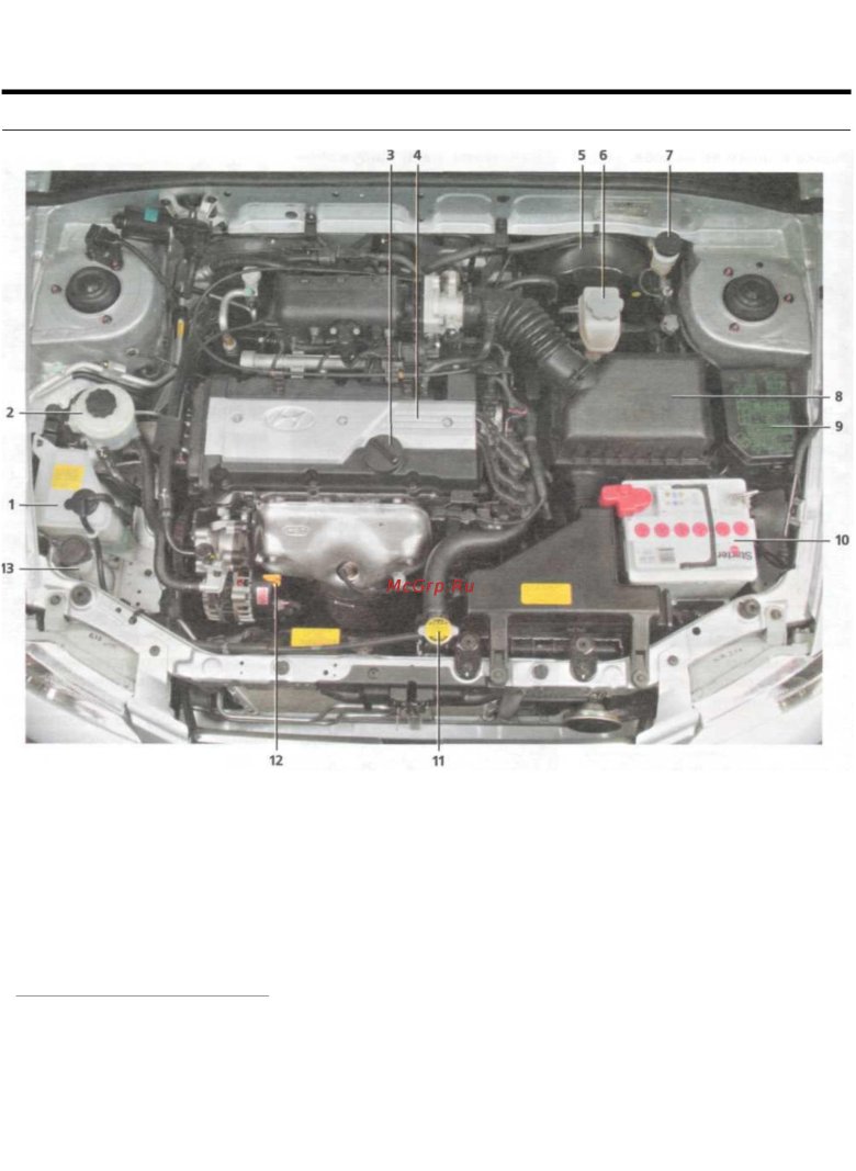 Подкапотное пространство хендай акцент