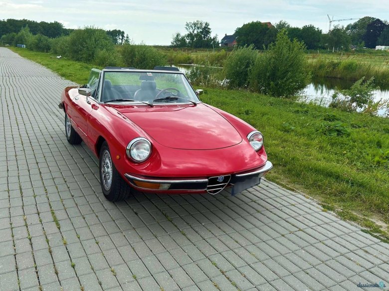 1967 alfa romeo duetto 1600 spider
