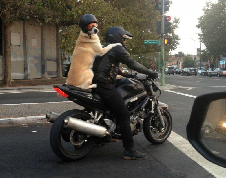 Смешной мотоцикл