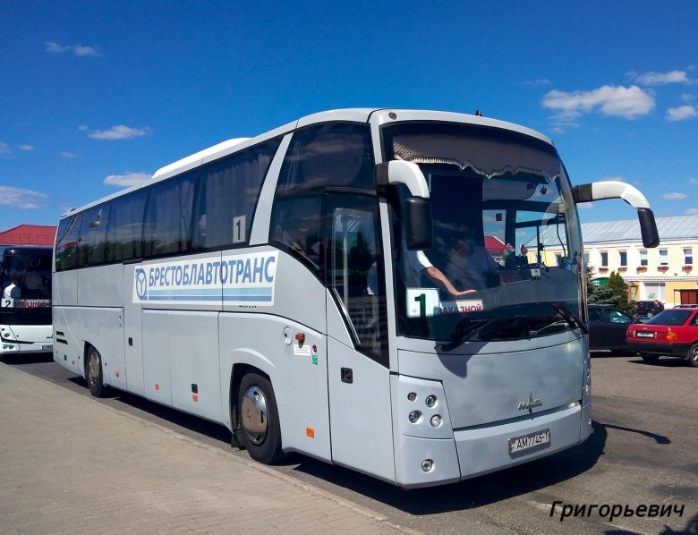Междугородние автобусы маз