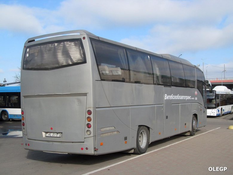 Туристический автобус маз 251