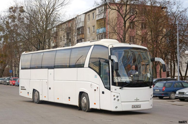 Маз 251 автобус