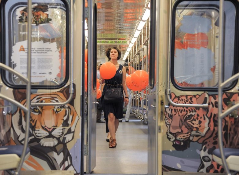 Полосатый экспресс метро