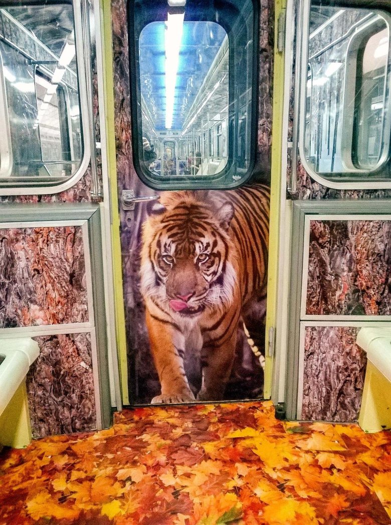 Поезд амурский тигр в метро
