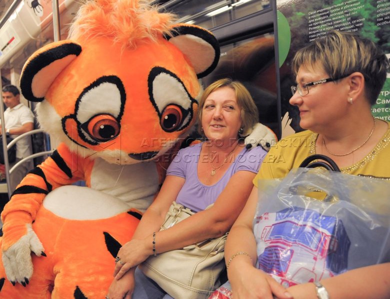 Московские поезда метро