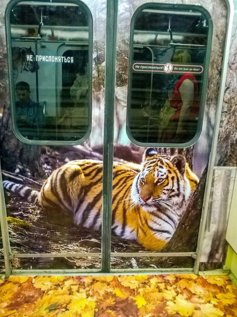 Тигр в метро