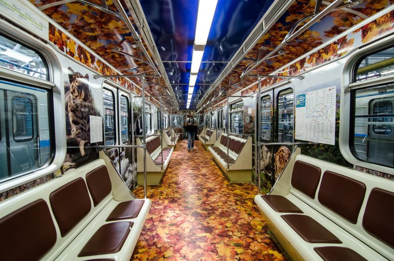 Московский метрополитен вагоны метро