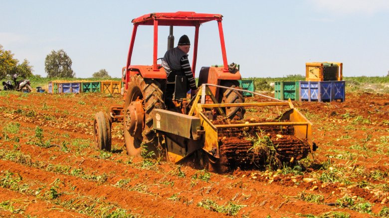 Уборка картофеля пкк 2