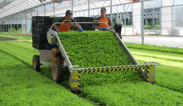 Комбайн для уборки зелени агротехпром