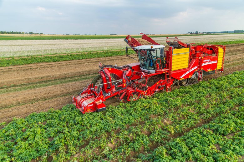 Картофелеуборочный комбайн grimme