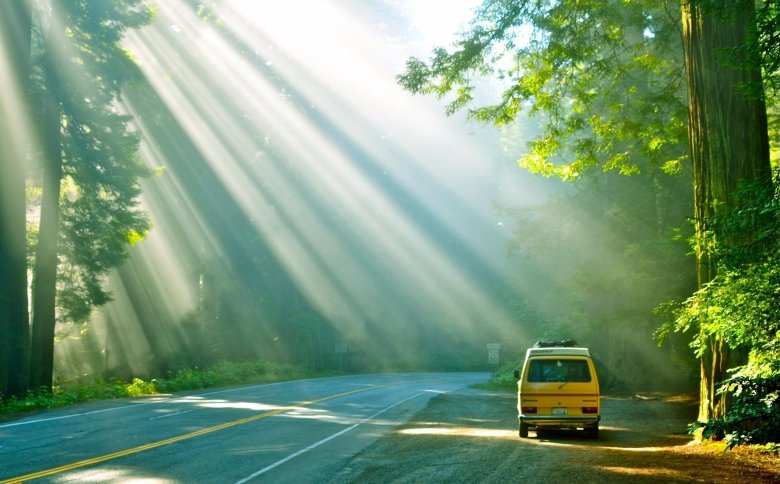 Дорога автомобиль природа