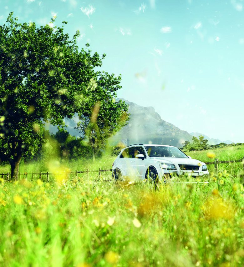 Машина лето