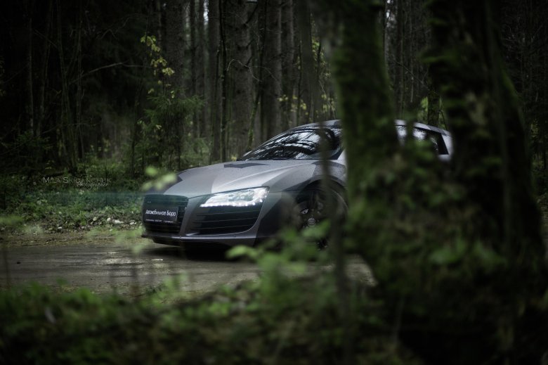 Машина в лесу