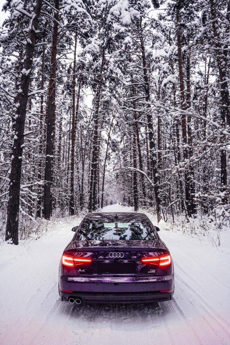 Ауди зимой