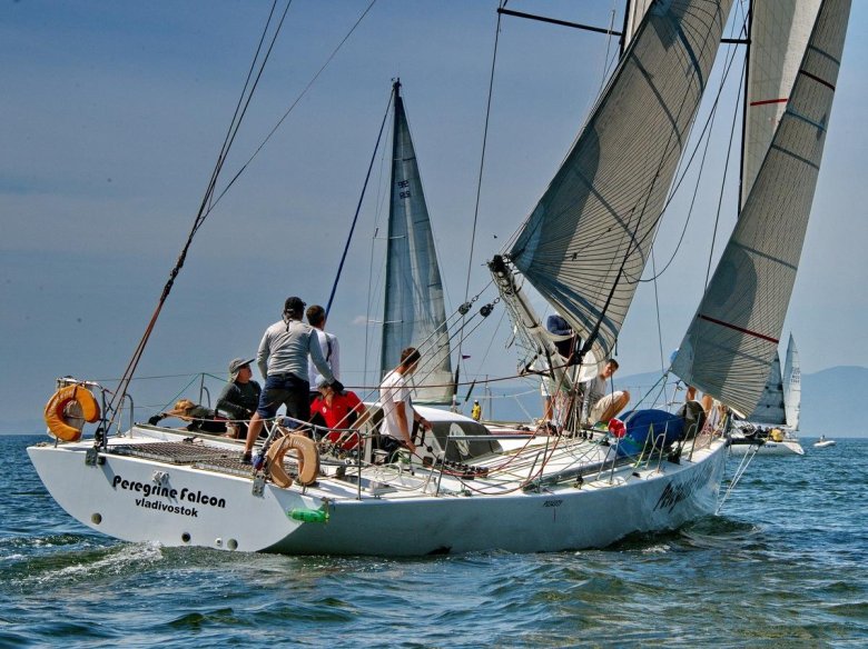 Регата парусная