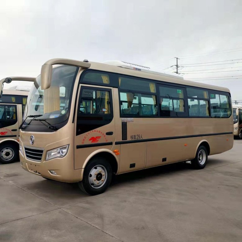 Пассажирские автобусы