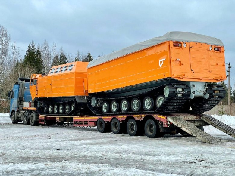 Витязь дт-30п