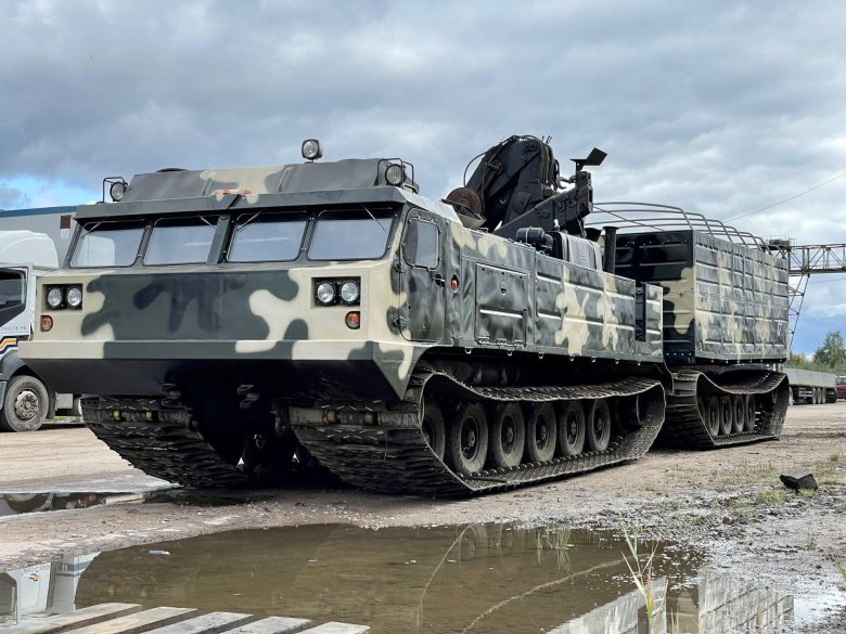 Вездеход витязь дт 30п