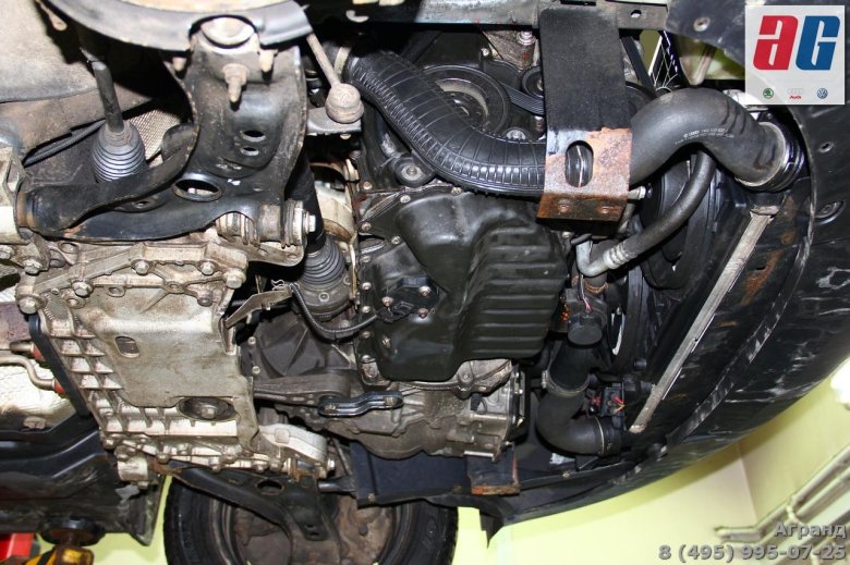 Шкода рапид вид снизу