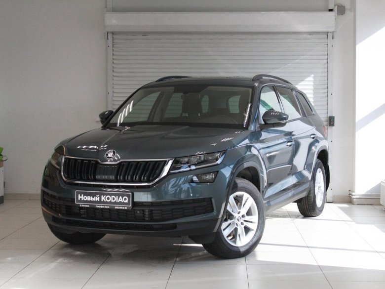 Шкода кодиак серый платинум