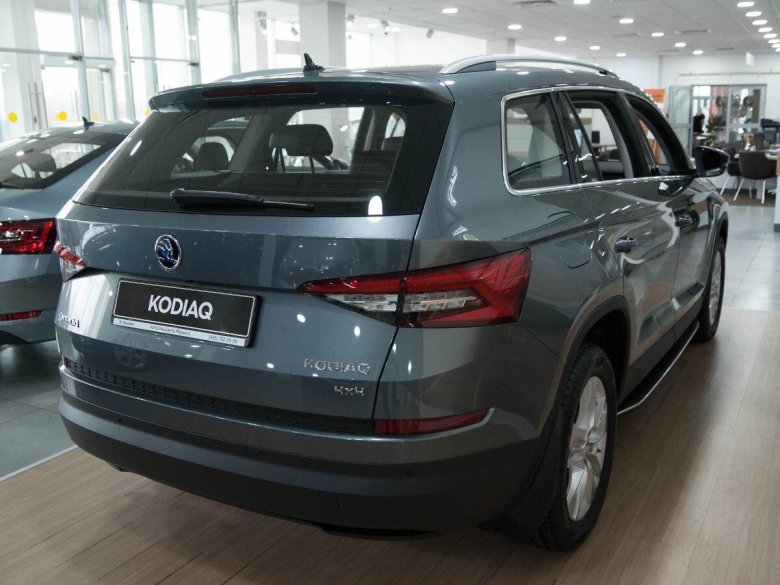 Шкода кодиак коричневая