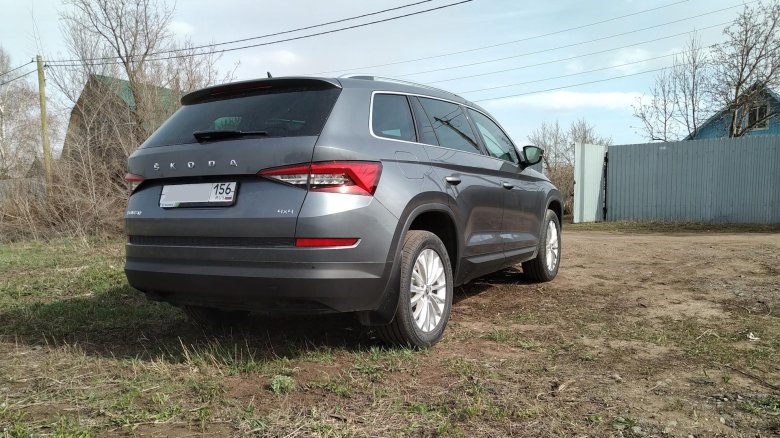 Кодиак серый платинум металлик