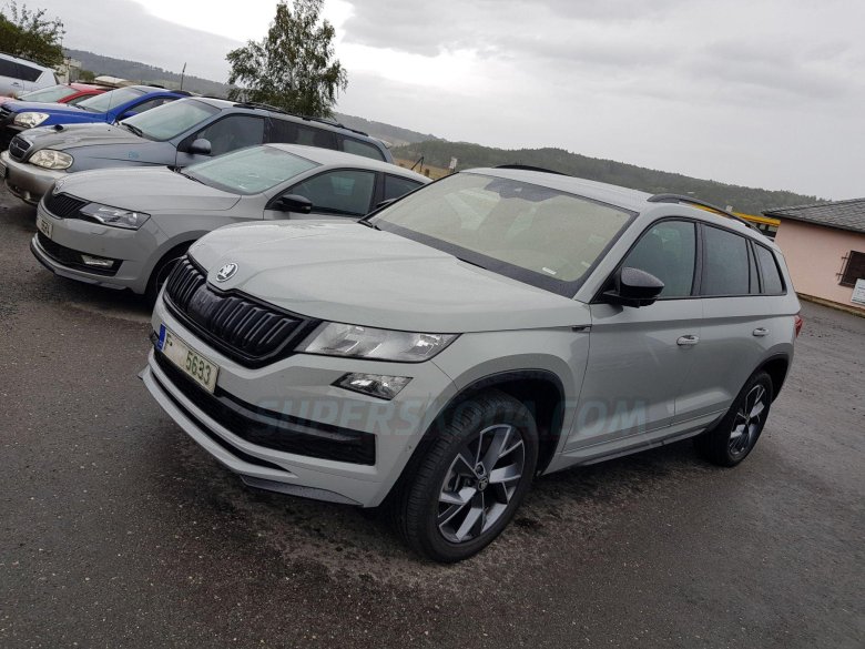 Skoda kodiak серый