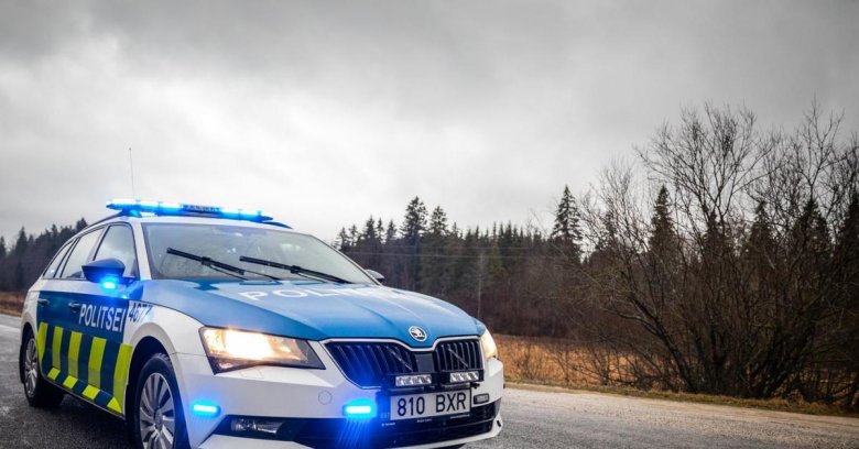 Skoda octavia полиция