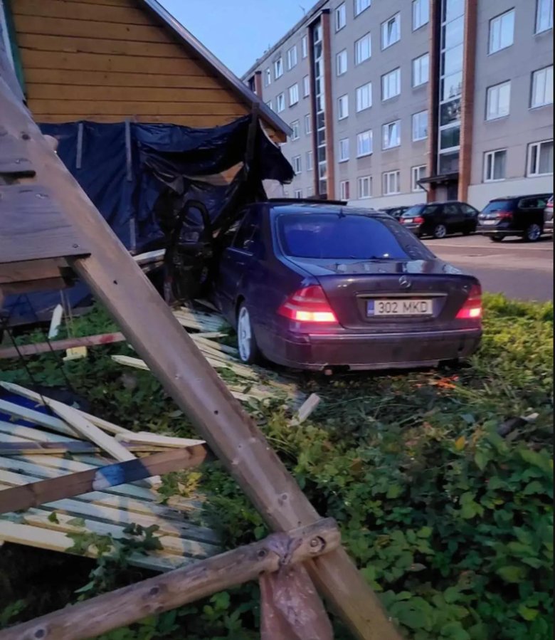 Упавшее дерево