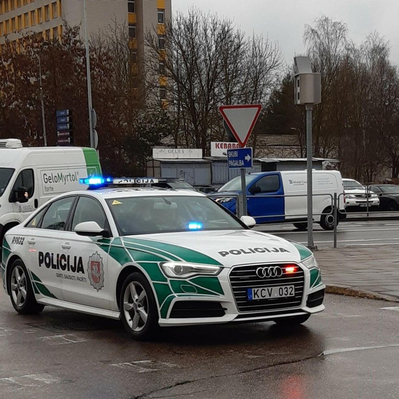 Полиция литвы