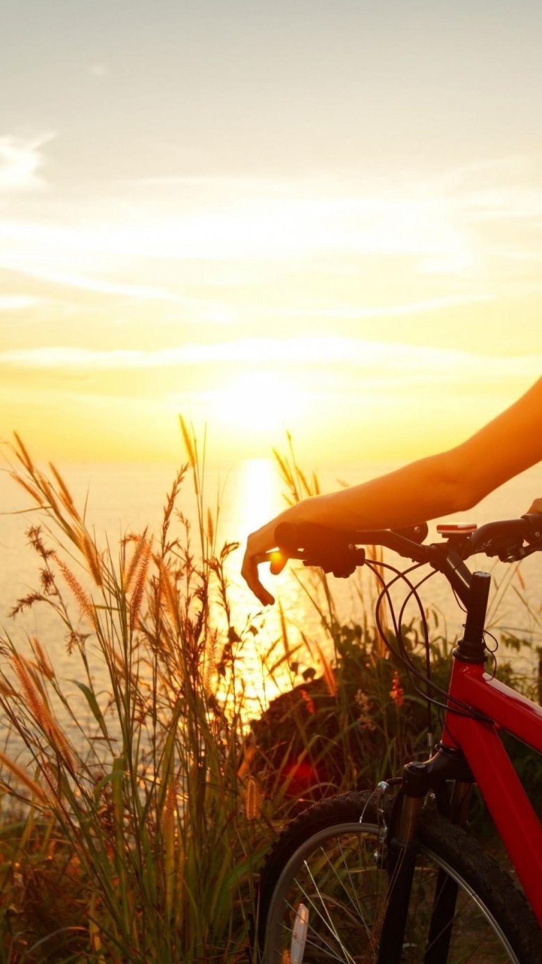 Велосипед на природе