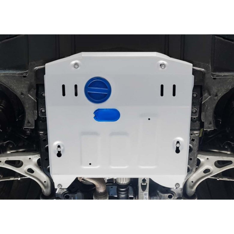 Защита картера rival