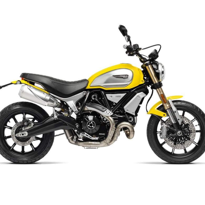 Ducati scrambler 1100