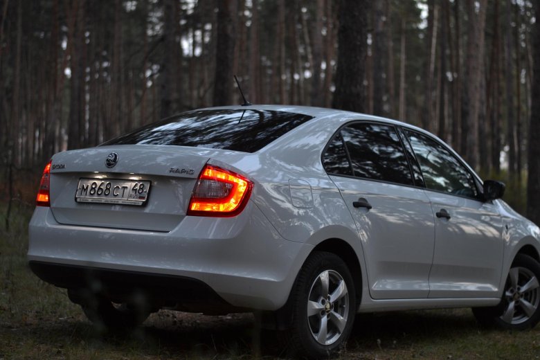 Шкода рапид 2016 белая