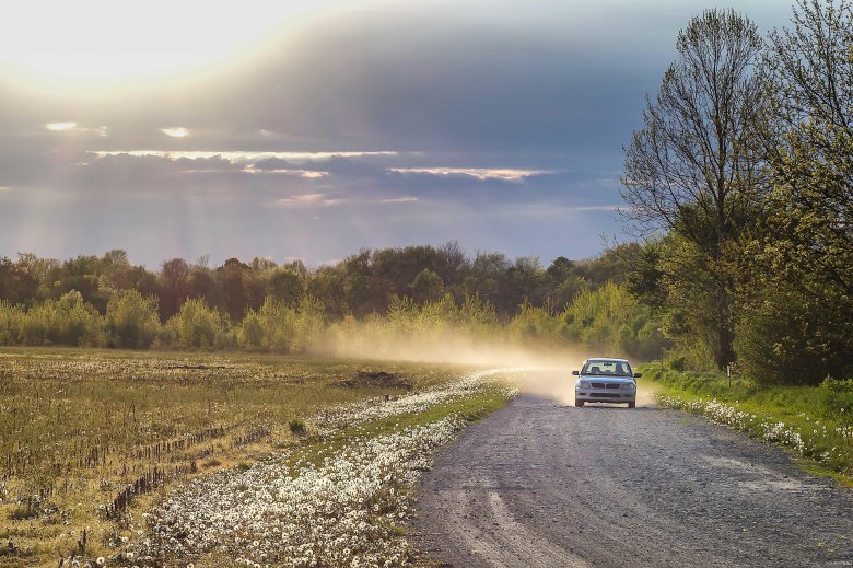 Машина едет по дороге в поле
