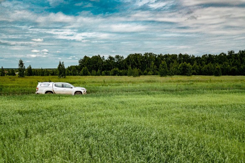 Машина в поле