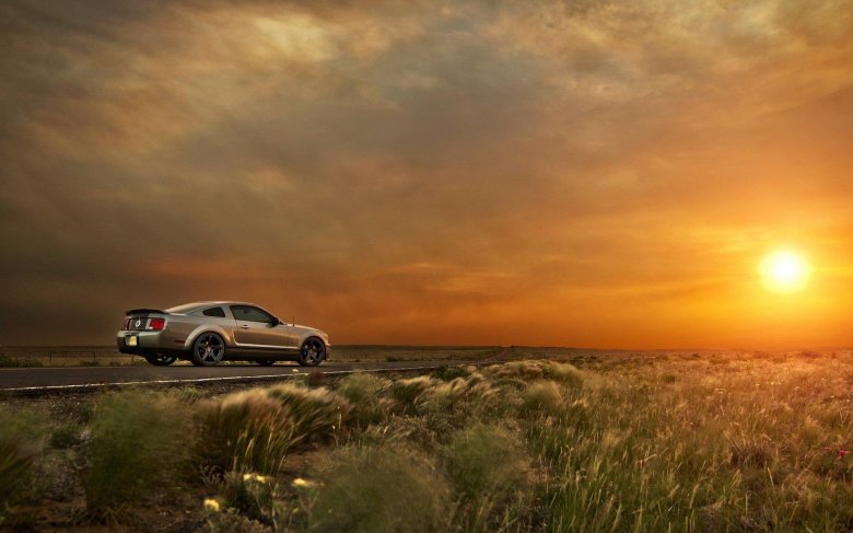 Ford shelby gt500