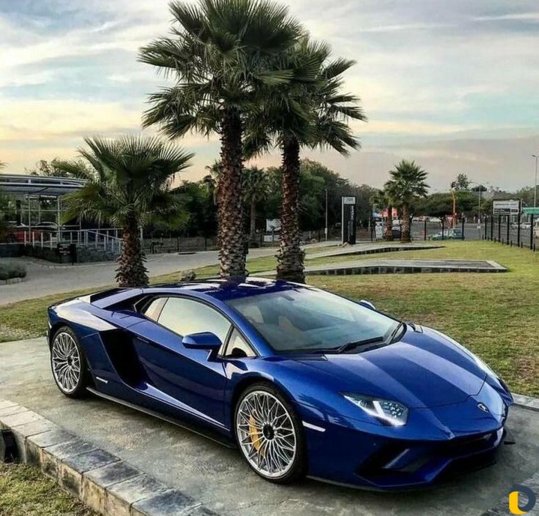 Lamborghini aventador roadster
