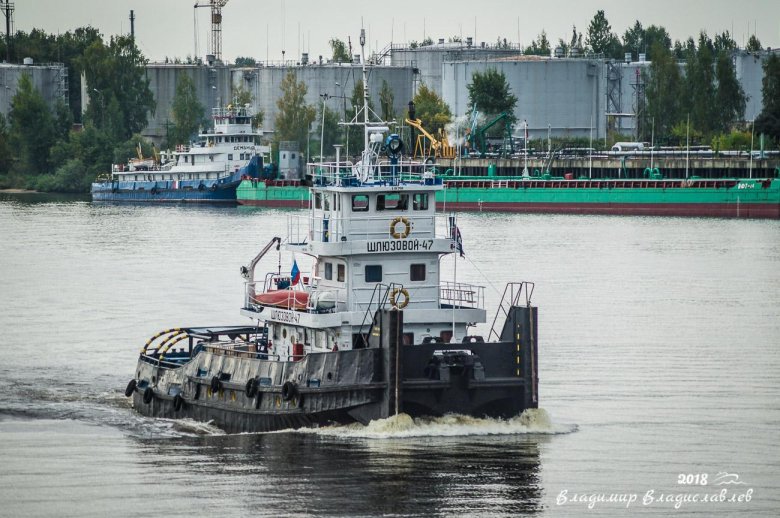 Речной толкач