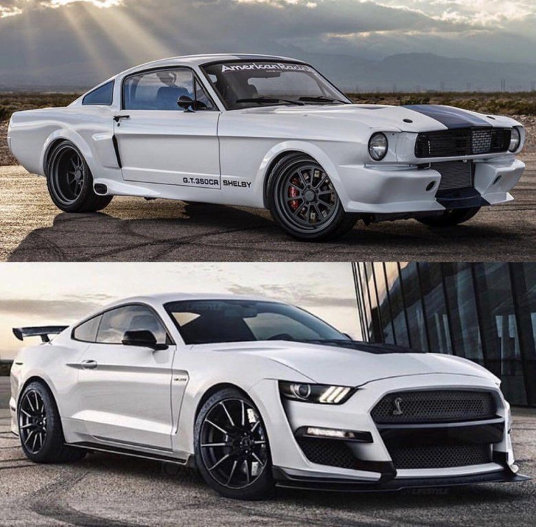 Форд мустанг шелби gt 500