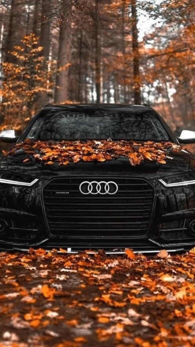 Ауди осенью