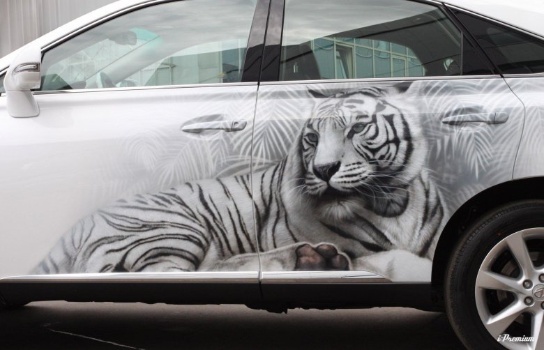 Аэрография на белой машине