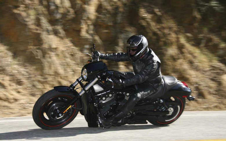 Harley davidson vrscdx
