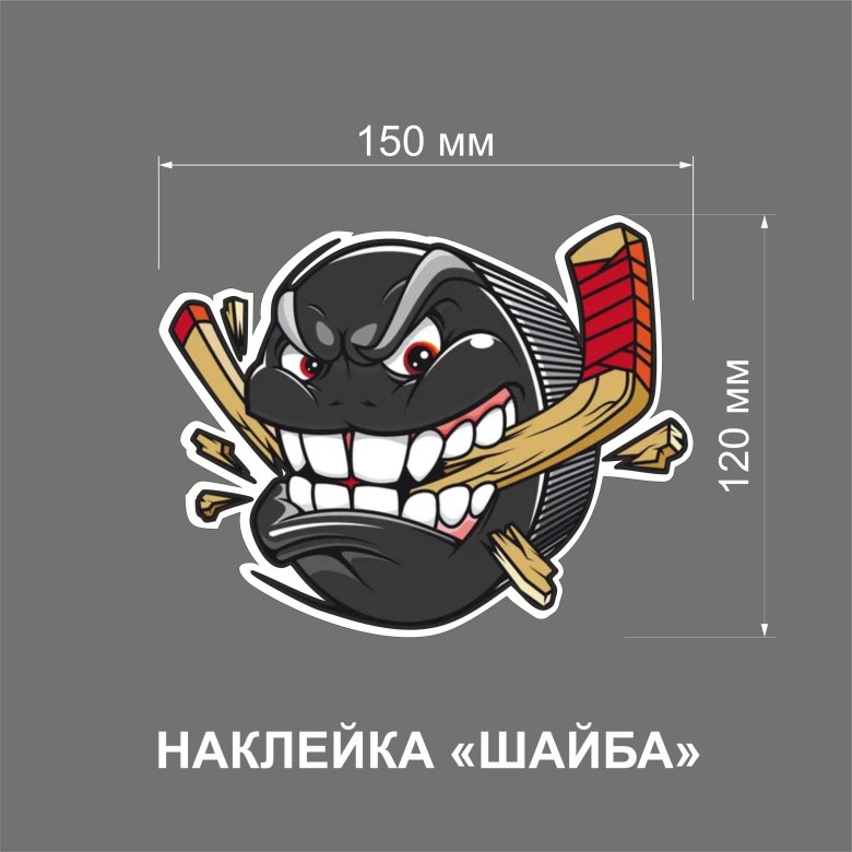 Хоккейная шайба