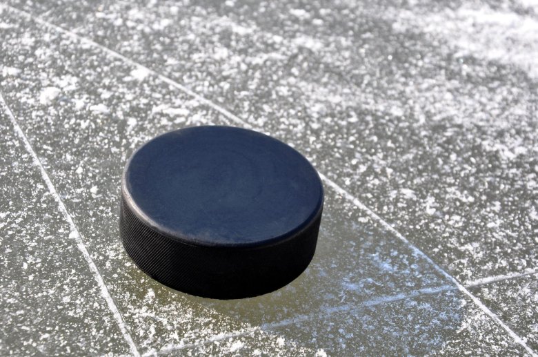 Hockey puck